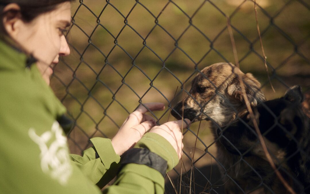 „Tierschutz fängt beim Menschen an!“