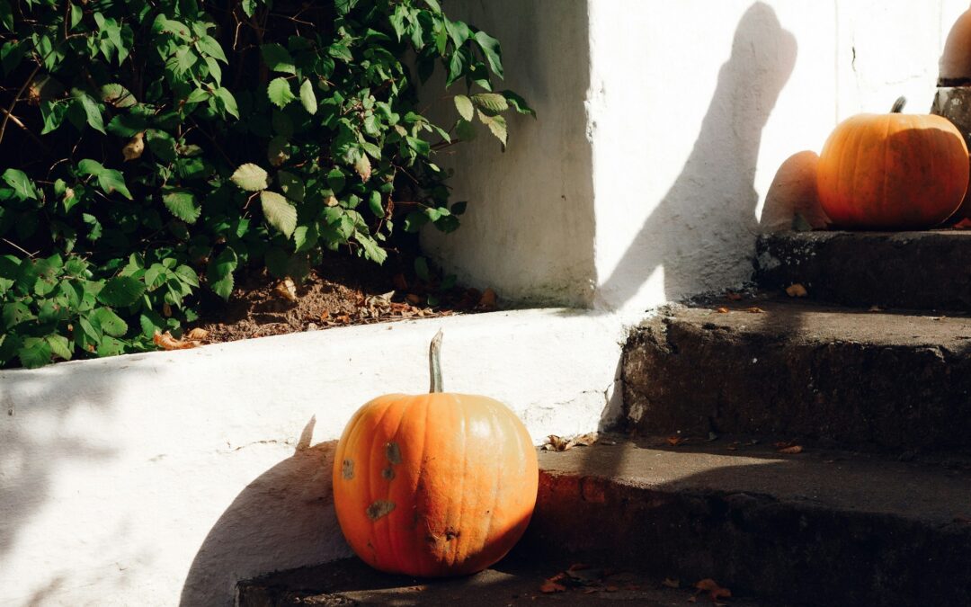 Der innere Kompass für ein erfülltes Leben.