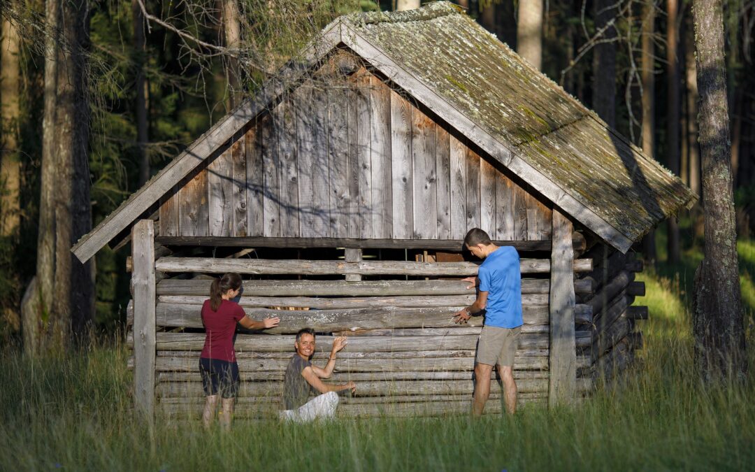 Wie die Natur unsere Seele heilt.